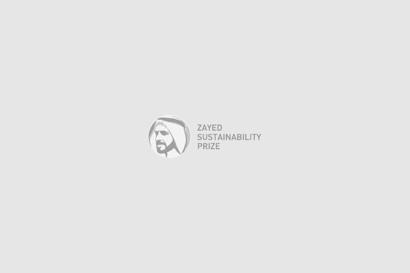 Logo de Erth Zayed Philanthropies