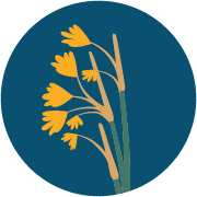 California Wildlife Conservation Board (WCB) logo