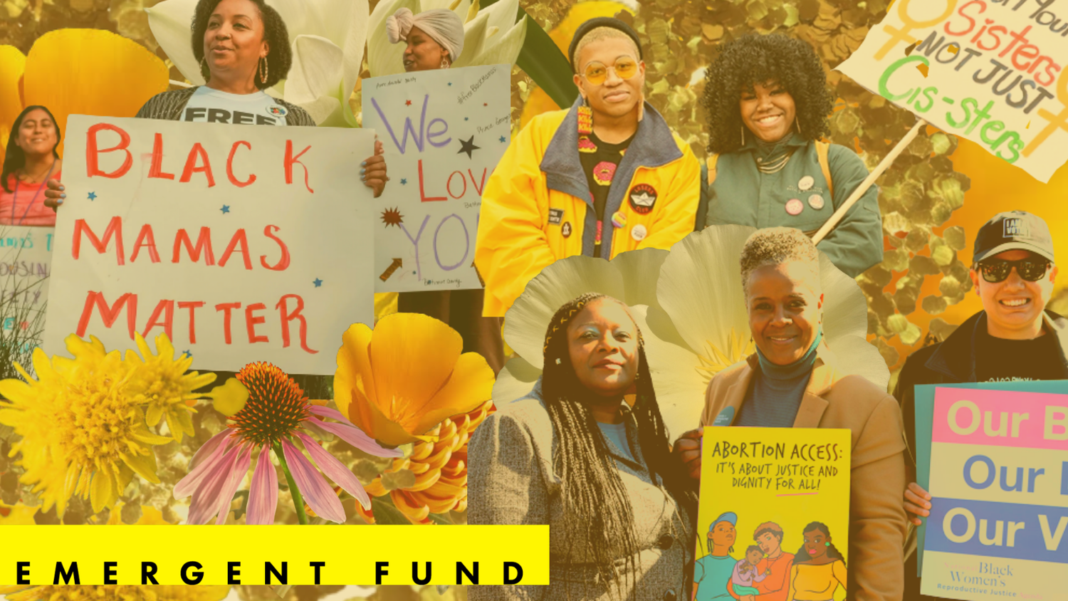 Logo de The Emergent Fund