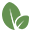 Catholic Charities Maine logo