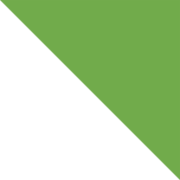 Burlington Capital Foundation logo