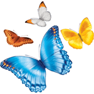 Nationwide Childrens Hospital Group Return logo