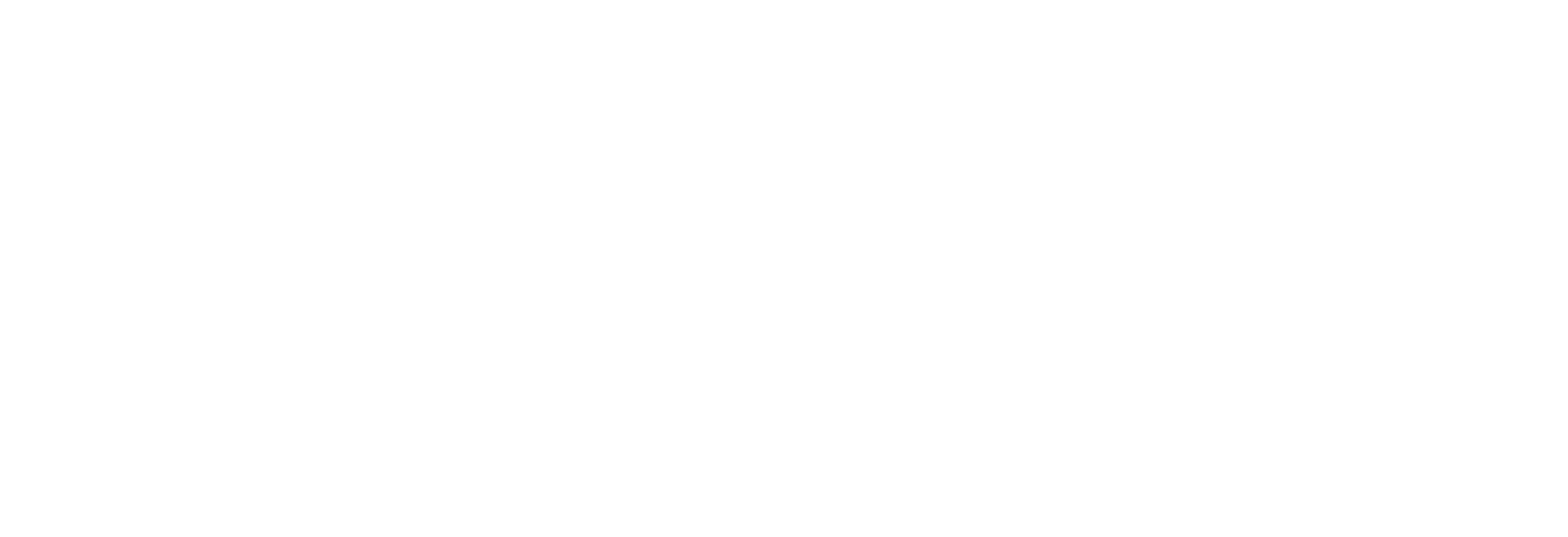 Chesapeake Climate Action Network Action Fund logo