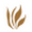 Norwin S and Elizabeth N Bean Foundation logo