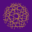 National Network of Abortion Funds logo