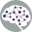 American Epilepsy Society logo