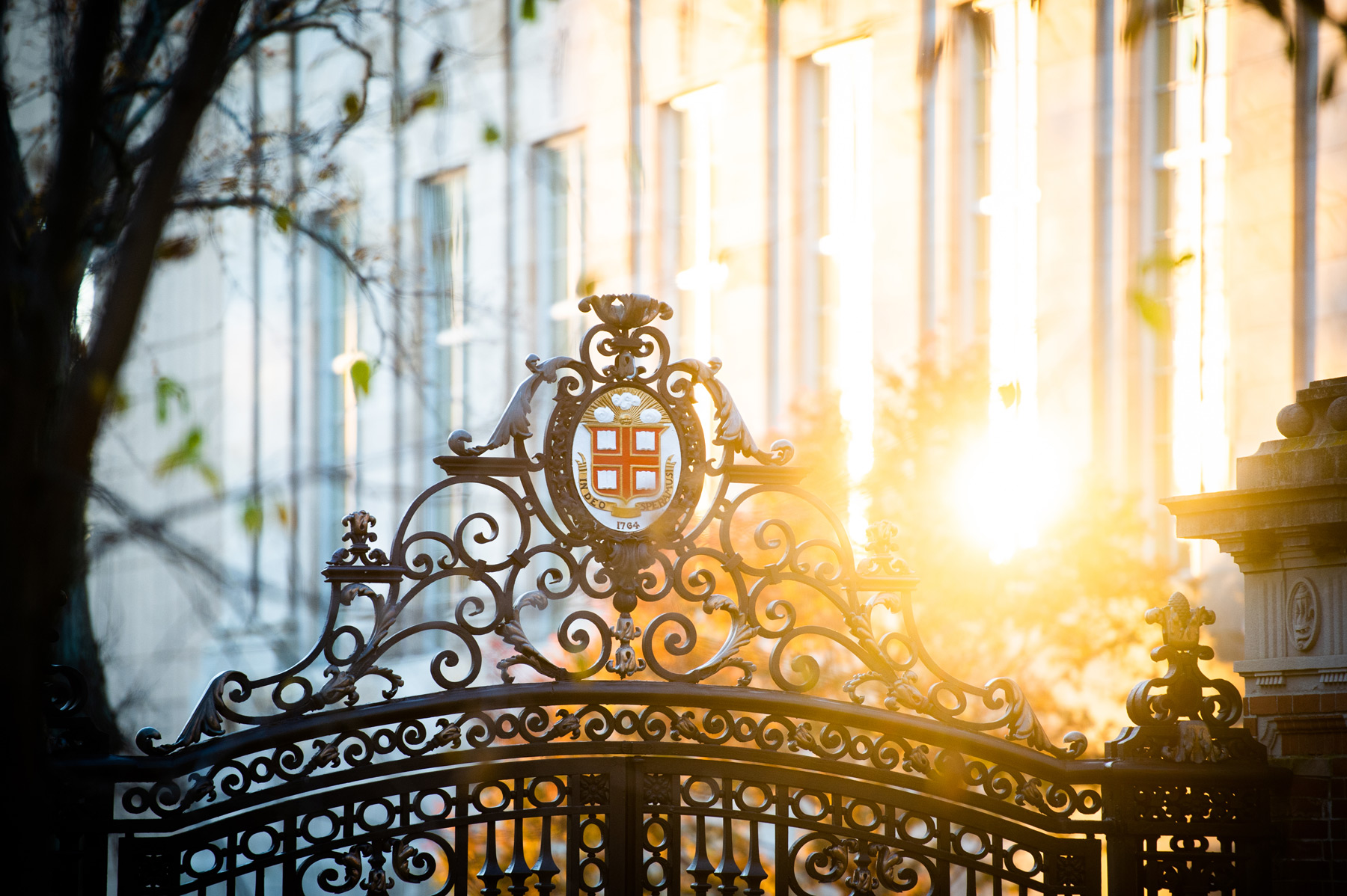 Brown University logo