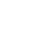 Dorothy Tapper Goldman Foundation logo