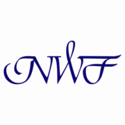 New World Foundation logo