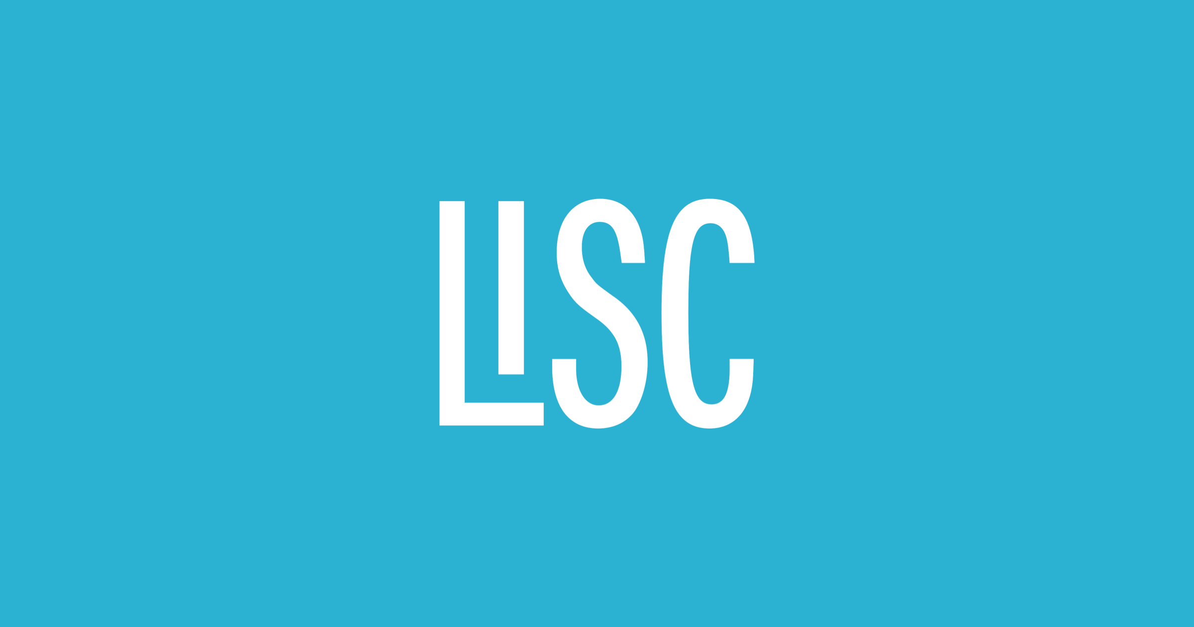 Local Initiatives Support logo