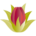 Hau'Oli Mau Loa Foundation logo