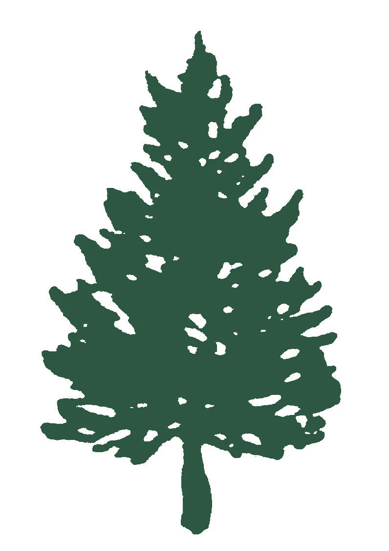 Cedar Tree Foundation logo