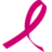 Breast Cancer Research Foundation logo