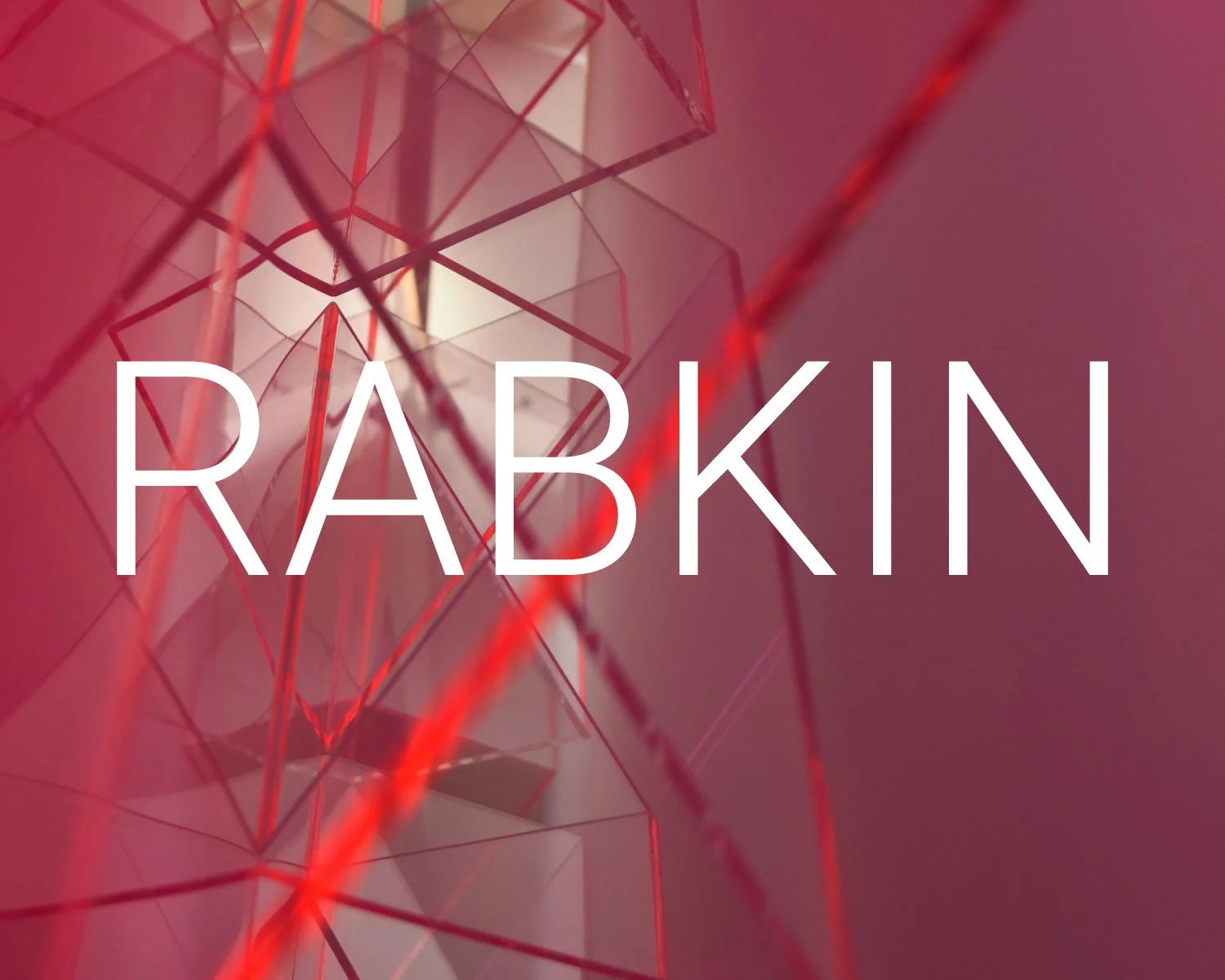 Dorothea and Leo Rabkin Foundation logo