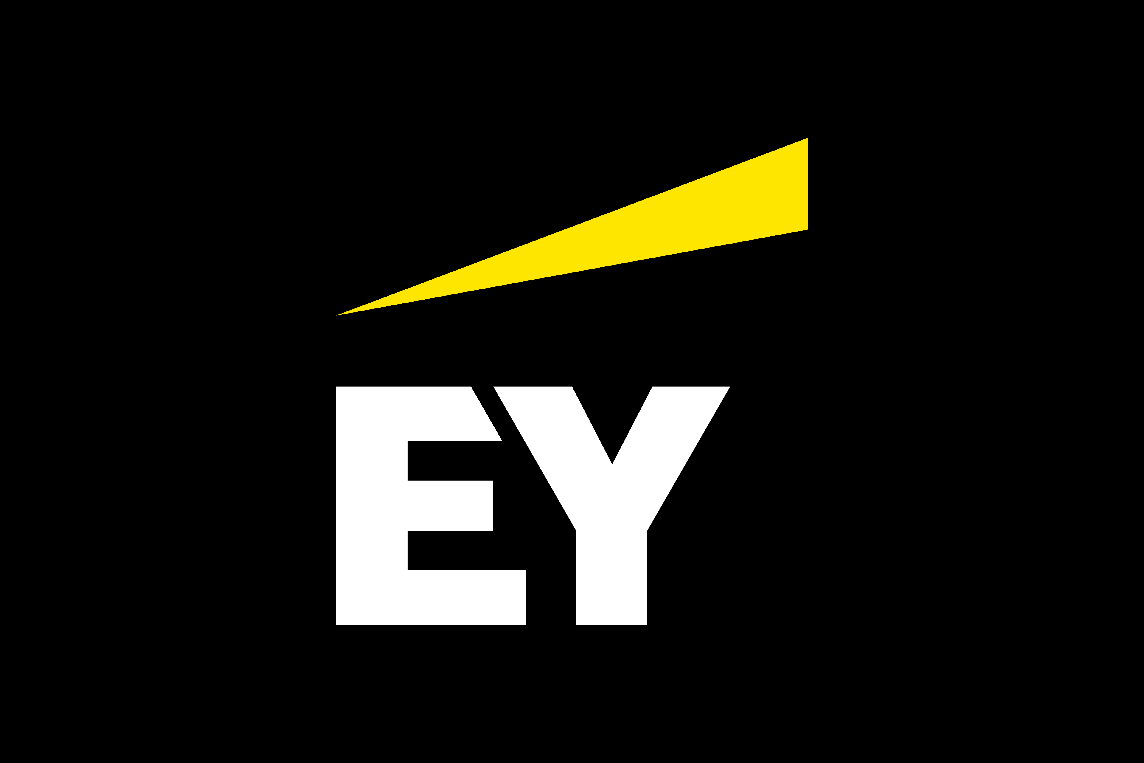 Ernst & Young Foundation logo