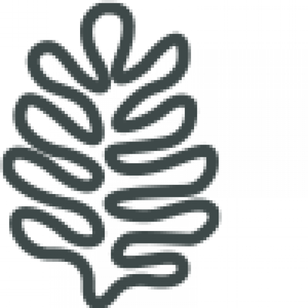 Rita Allen Foundation logo