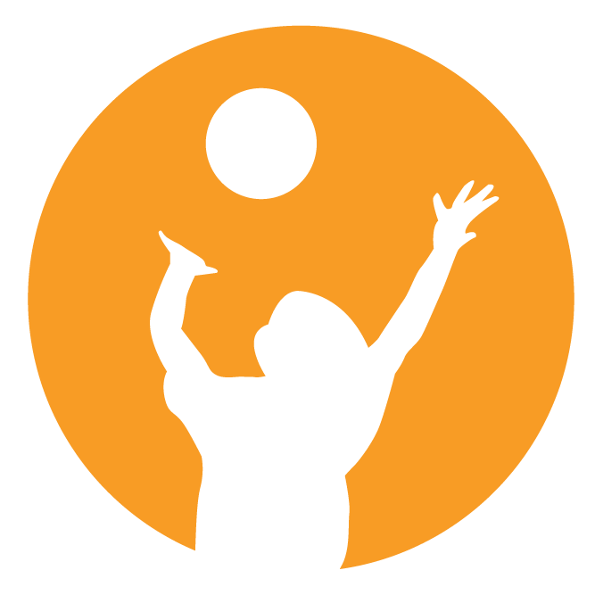 Toy Foundation logo