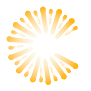 Children'S Guild Foundation logo
