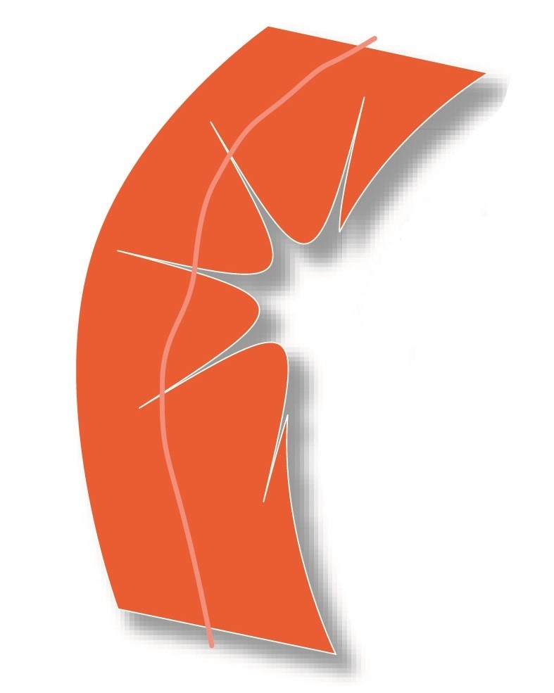 Logo de 495 Metrowest Corridor Partnership