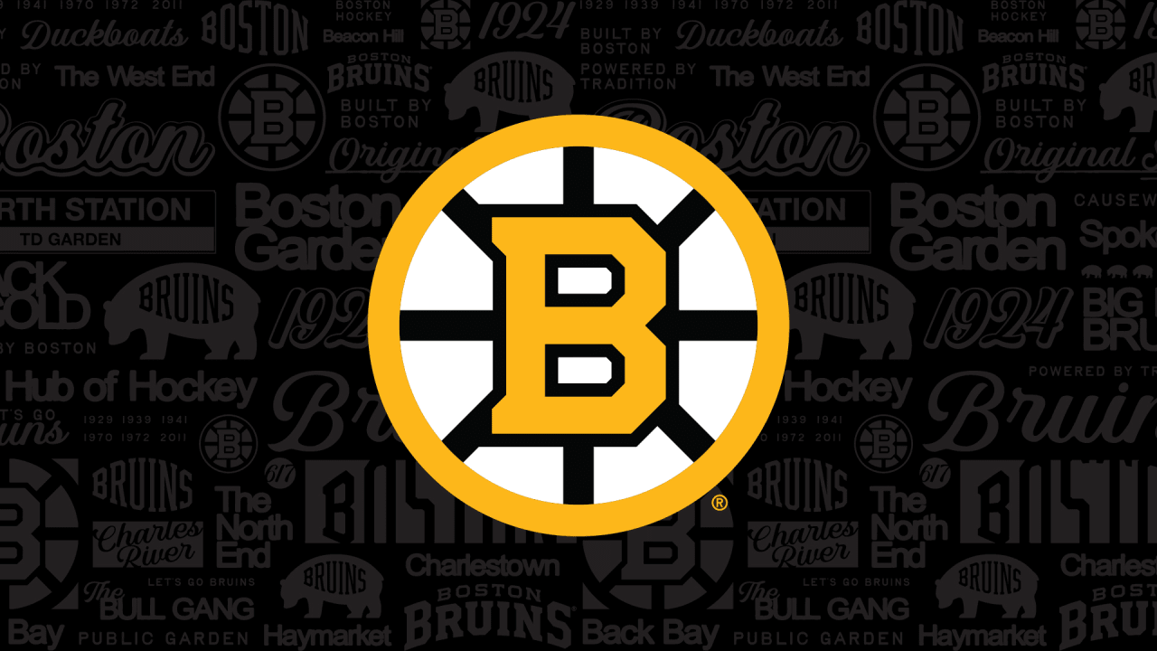 Boston Bruins Charitable Foundation logo