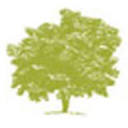 Melaleuca Foundation logo