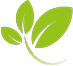 Lapeer County Community Foundation logo