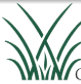 Communities of Coastal Georgia Foundation logo