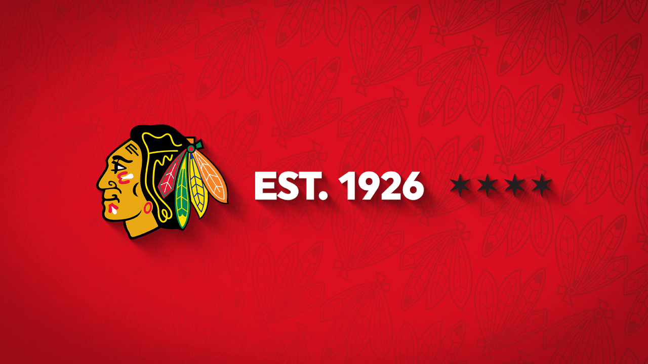 Chicago Blackhawks Foundation logo
