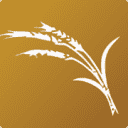 Reach Now International logo