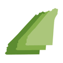 Suffolk Foundation logo