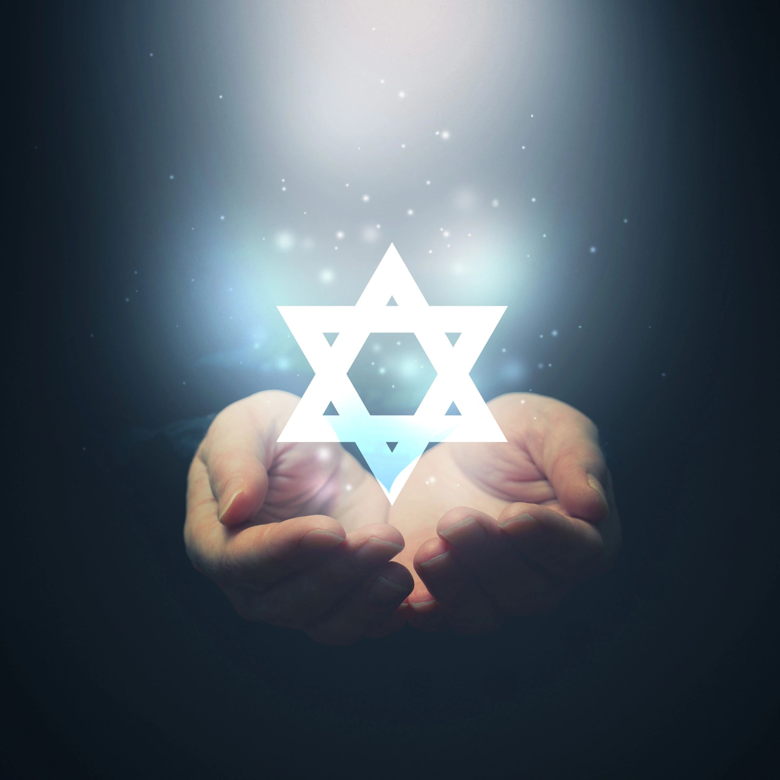 Dinim Foundation logo
