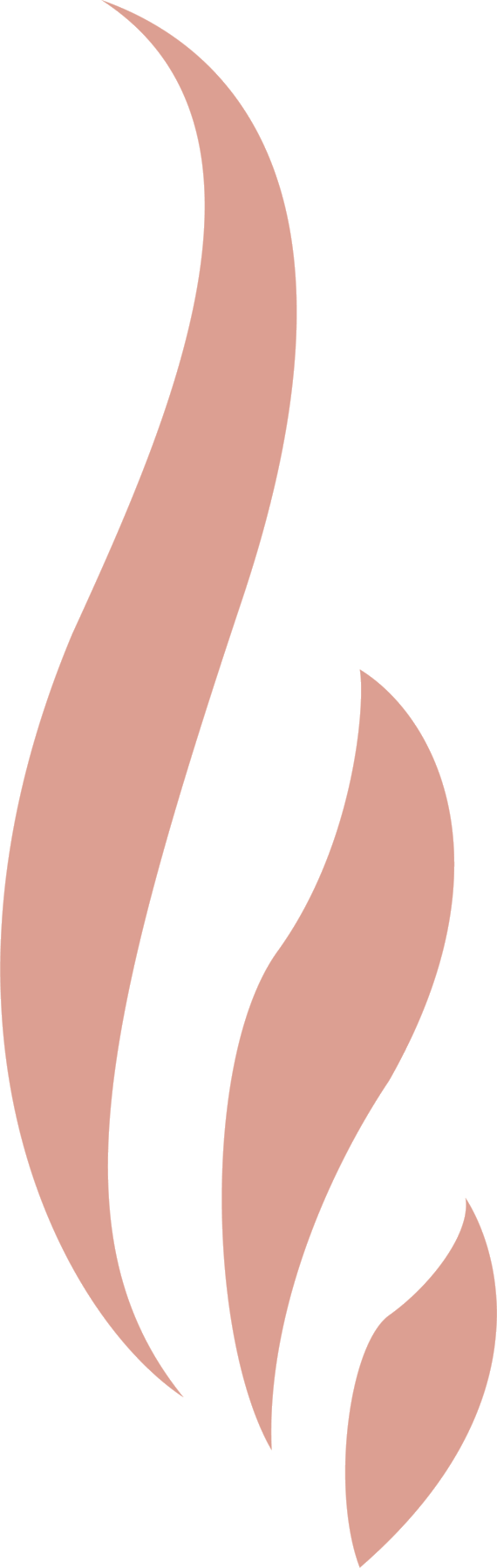 Schoen Family Charitable Trust logo