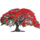 Flamboyan Foundation logo