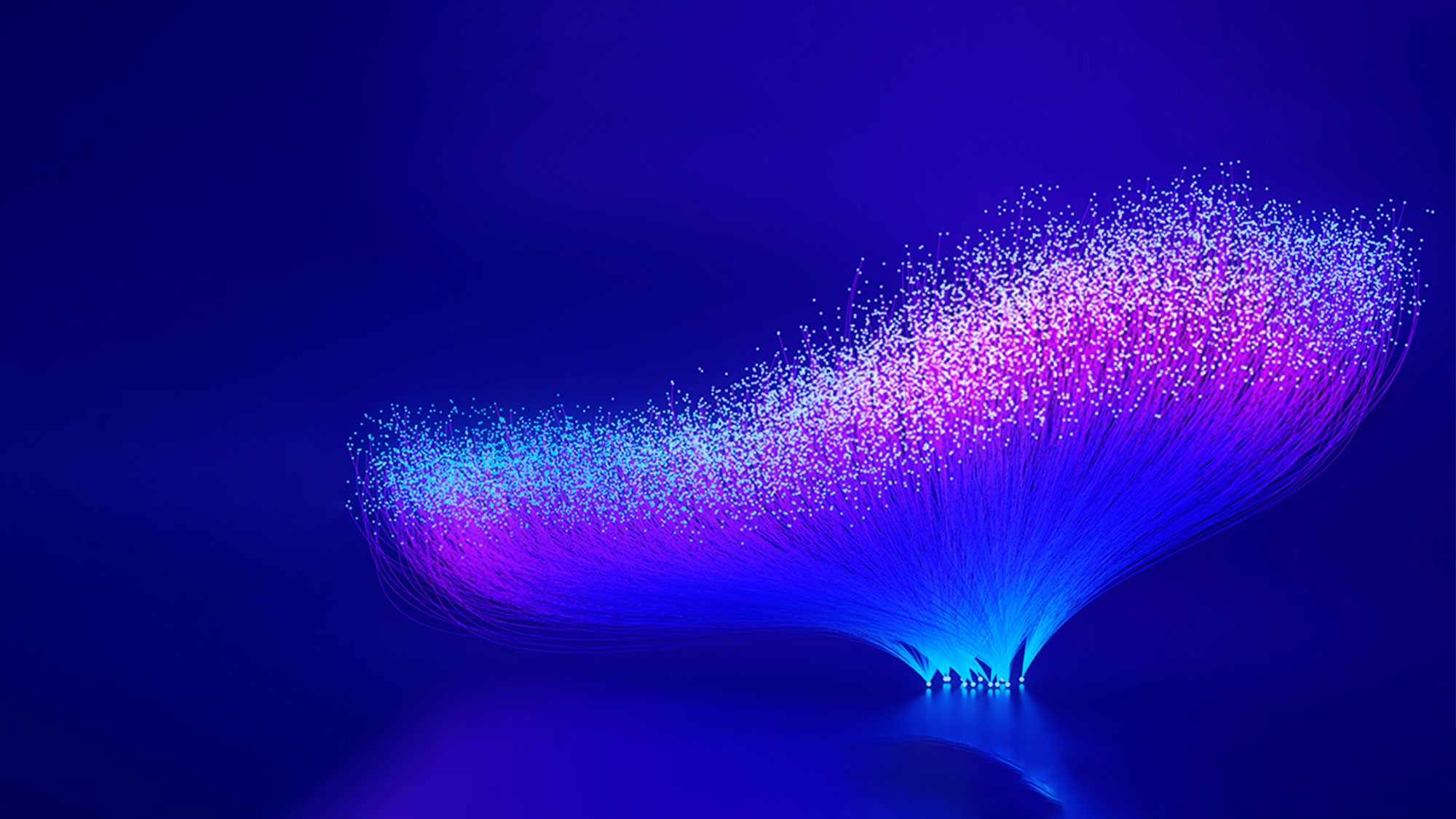 Kpmg Us Foundation logo