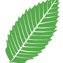 Missouri Coalition for the Environment Foundation logo