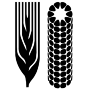 Centro Internacional de Mejoramiento de Maiz Y Trigo logo