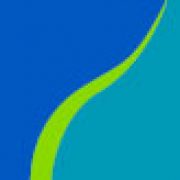 Rochester Area Community Foundation logo
