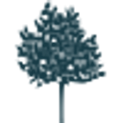 Furniture Trust Organization logo
