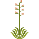 Desert Botanical Garden Foundation logo