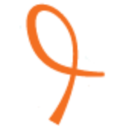 Spierings Cancer Foundation logo