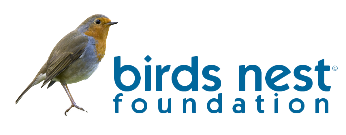 Birds Nest Foundation logo