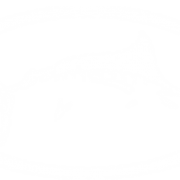 Reel Life International logo