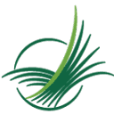 Greenwood County Community Foundation logo