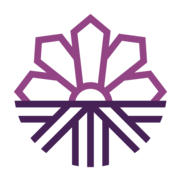 Montana Abortion Access Program logo