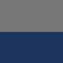 Ronald M Simon Family Foundation logo