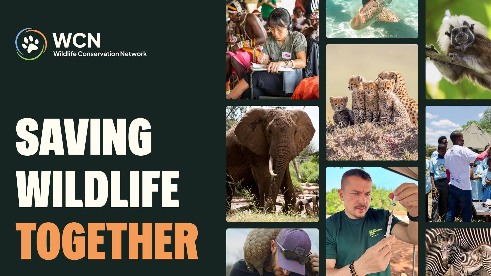 Wildlife Conservation Network logo
