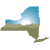 New York State Health Fdn D/B/A New York Health Foundation logo