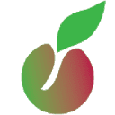 Intrepid Philanthropy Foundation logo