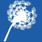Laredo Area Community Foundation logo