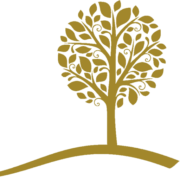 First Community Foundation logo
